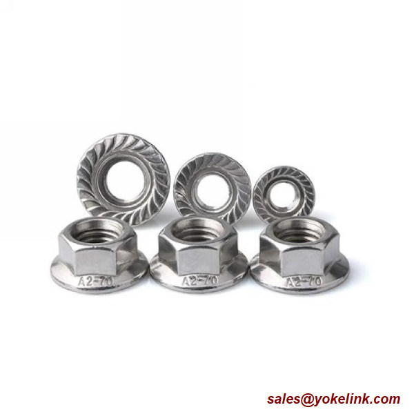 Stainless Steel Flange Locknut Hex Flange Nut for Solar Panel Installation